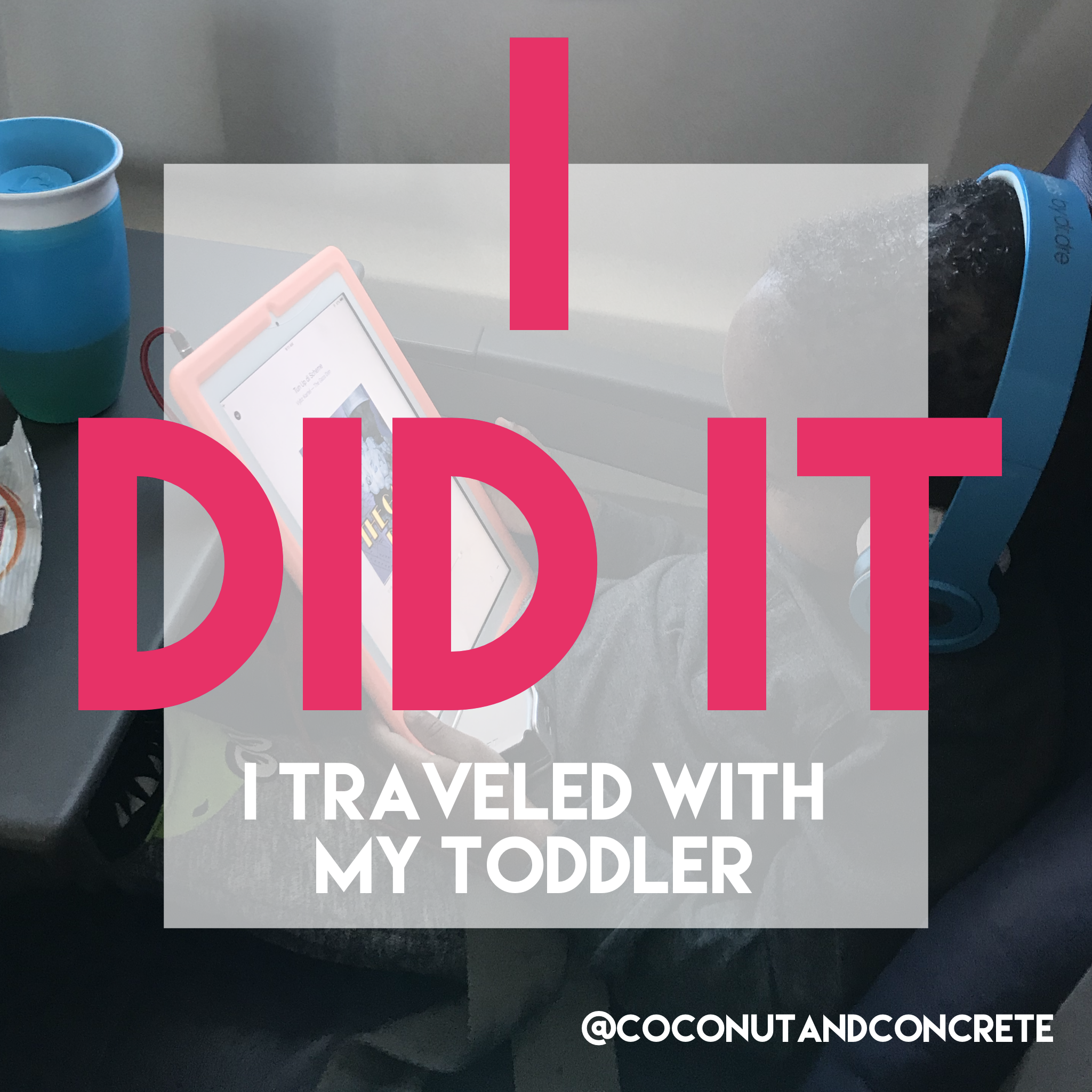 I DID IT... Toddler's First Flight