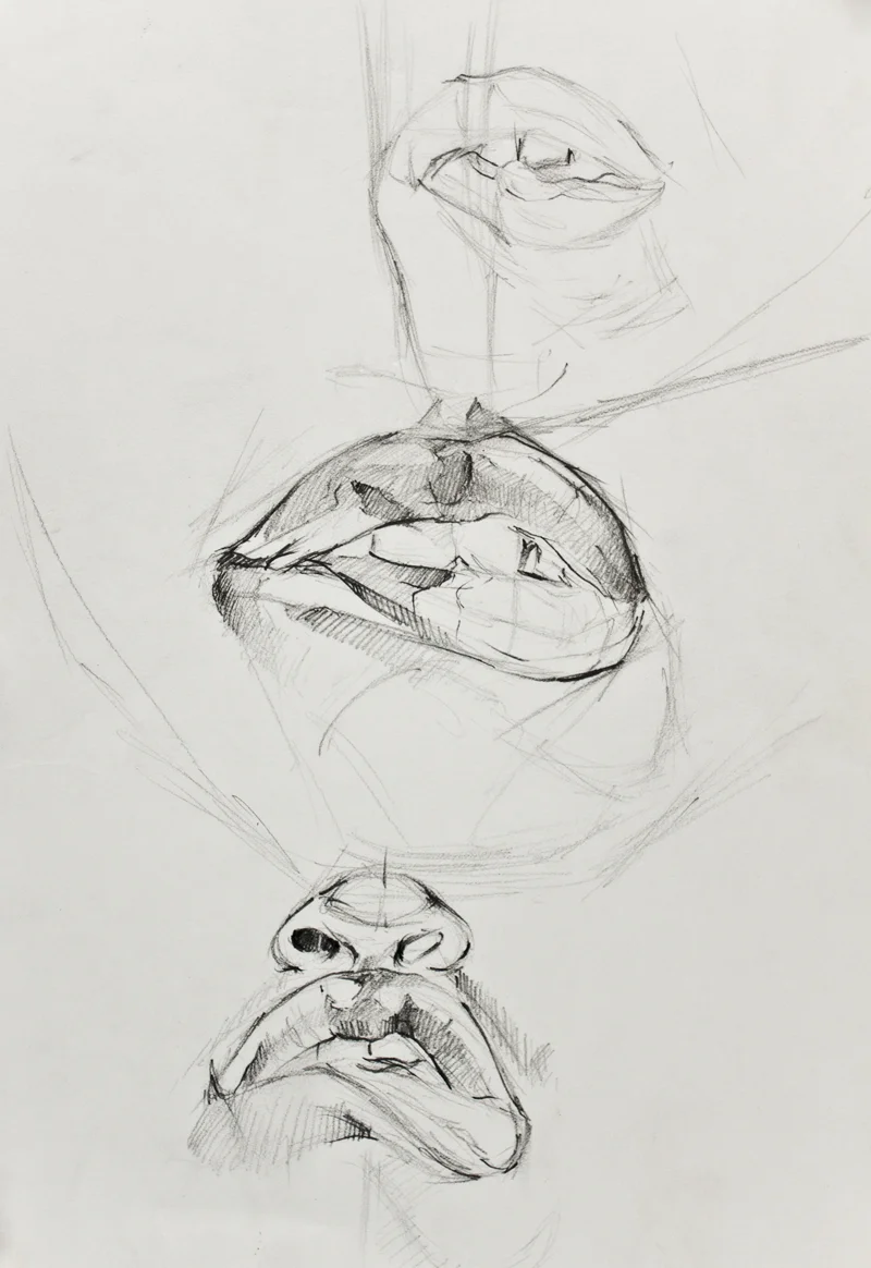 Mouth Study