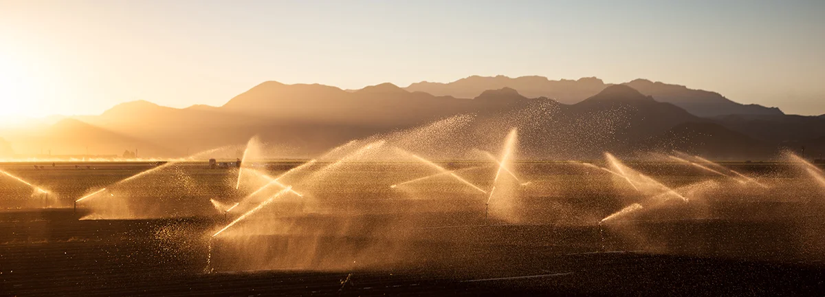 Harben_sprinklers.jpg
