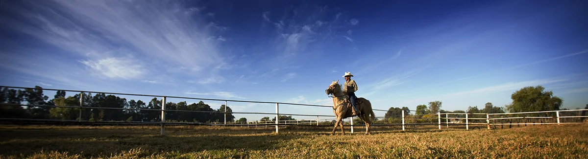pano cowboy.jpg