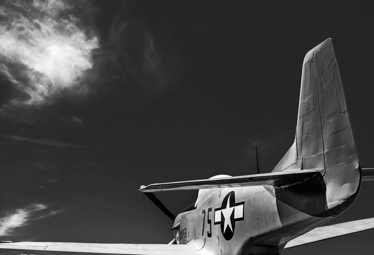 Harben_Red Tail tail.jpg