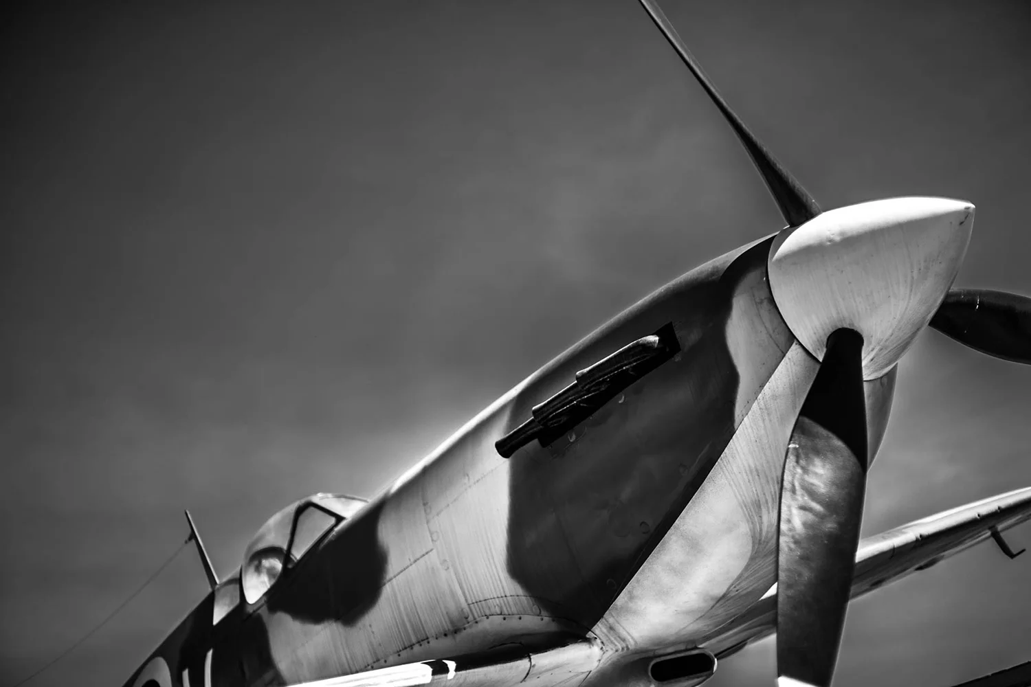 Harben_Spitfire nose.jpg