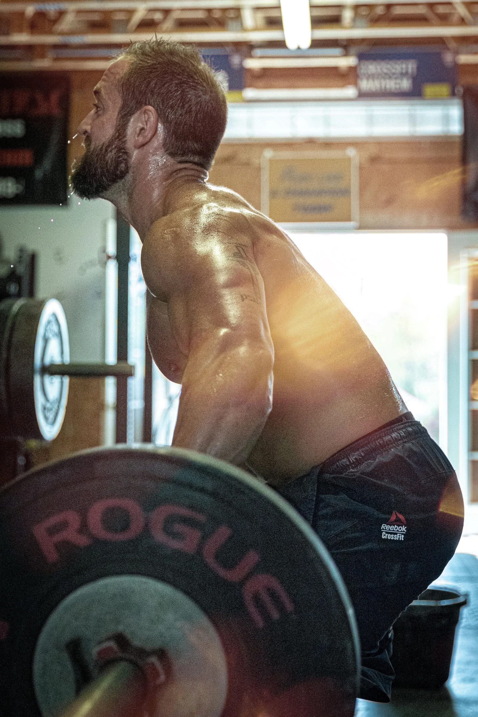 Harben_Froning 02.jpg
