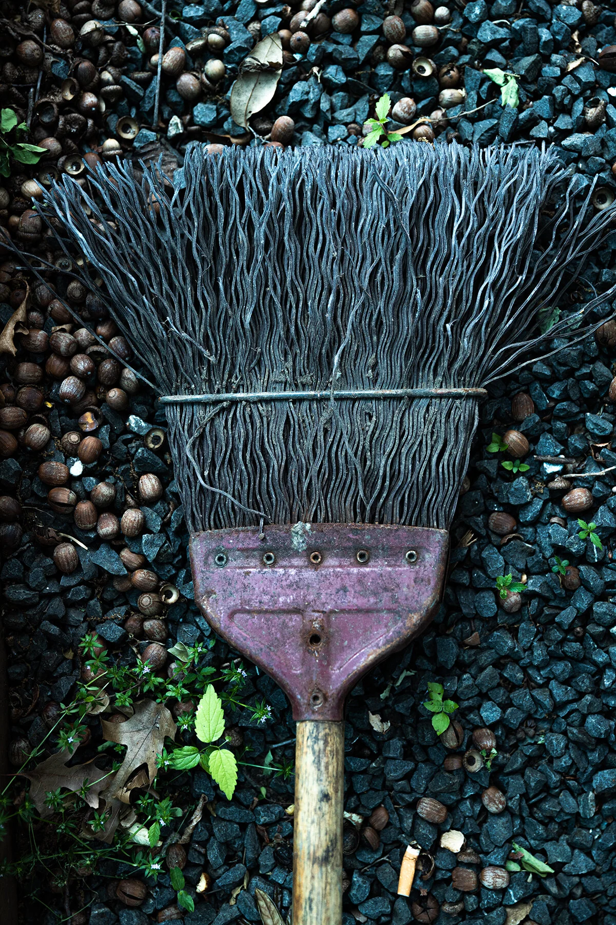 Harben_clean sweep.jpg