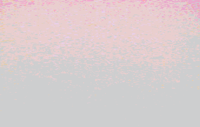 daniellebrutto_BIRDS 1.gif