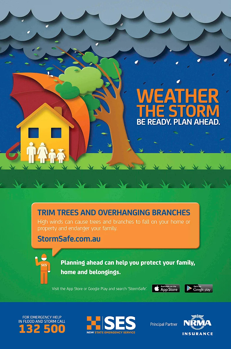SES Storm Season.jpg