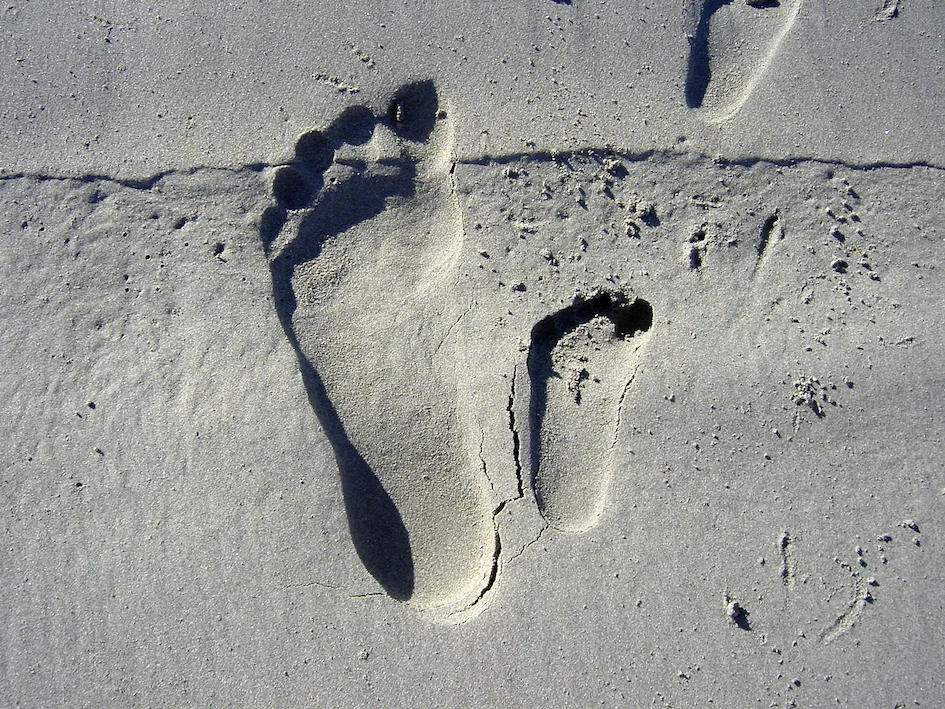 feet thumbnail.jpg