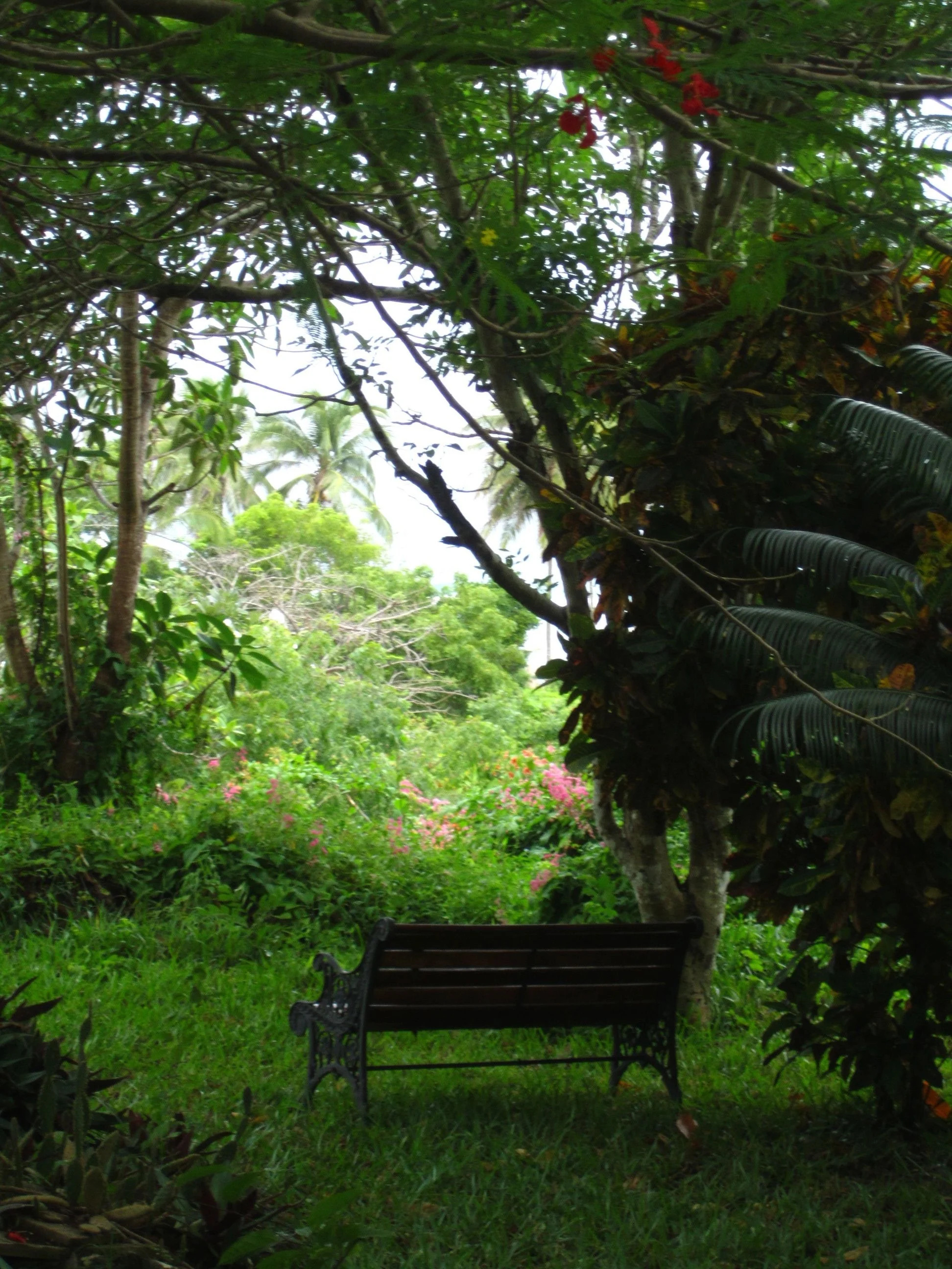 bench.jpg