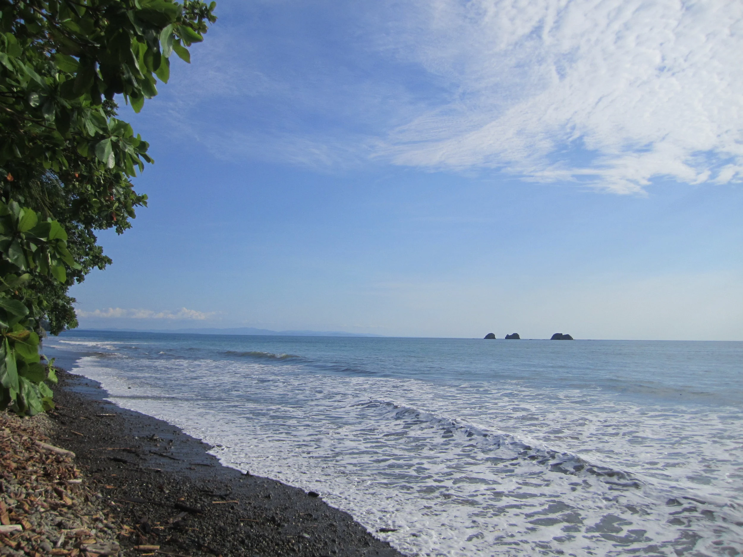 IMG_6561.jpg
