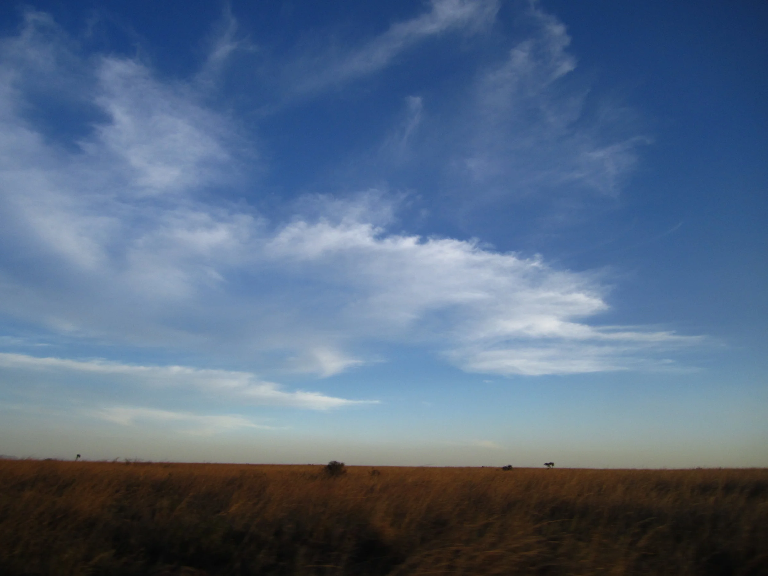 Kenya sampler - 284.jpg
