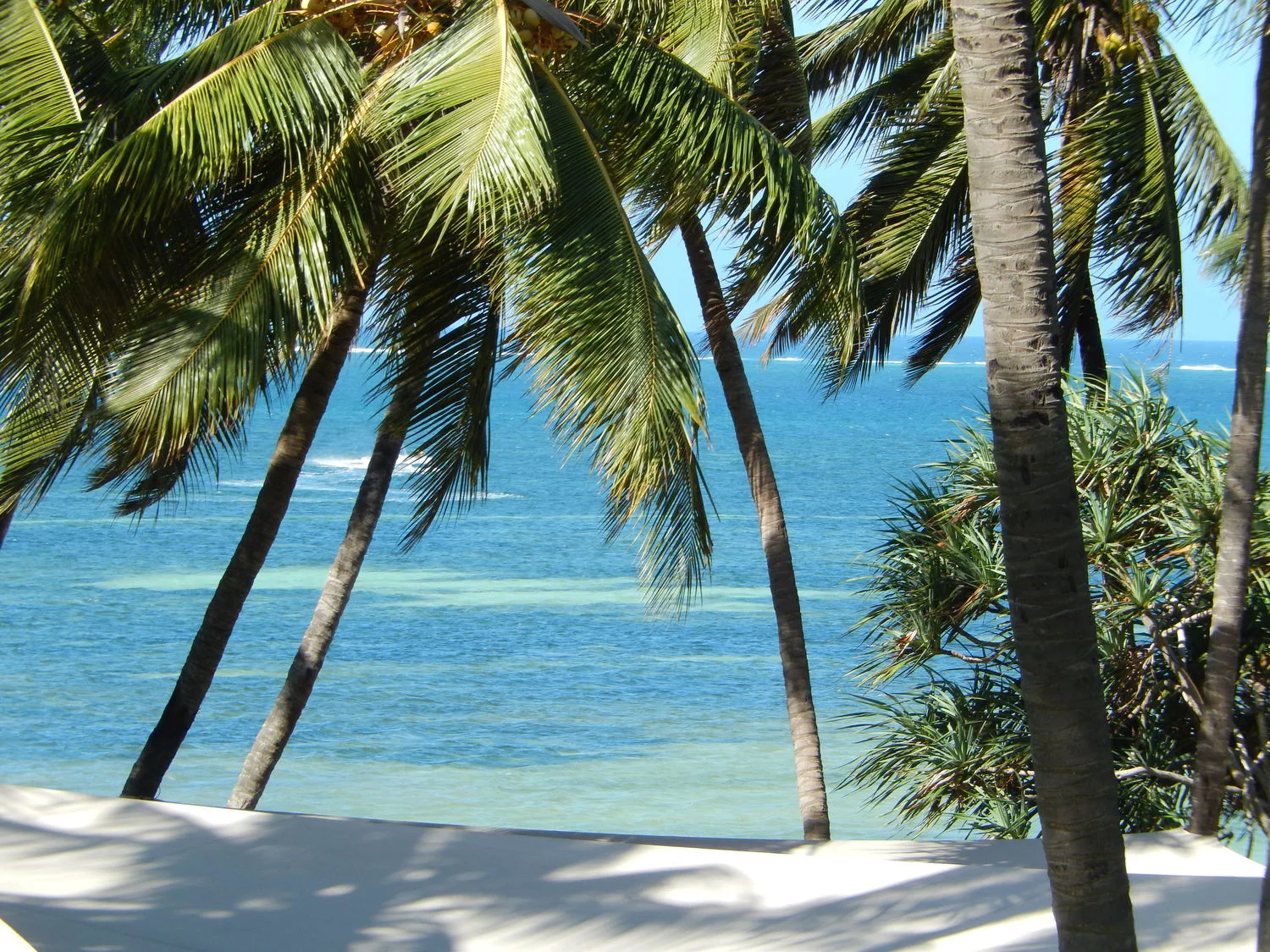 View of the Indian Ocean - some of our guests extended their trip to head to Mombasa.