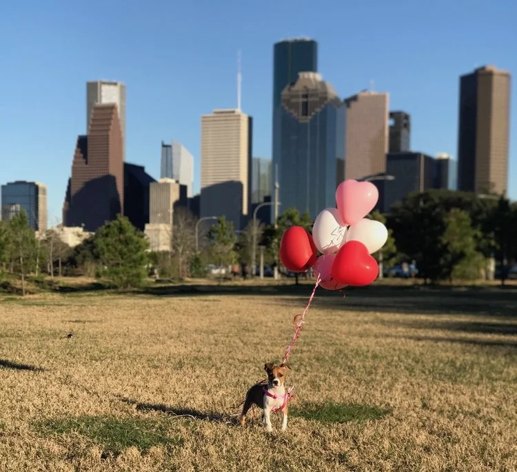 The Best Valentine's Day in Houston