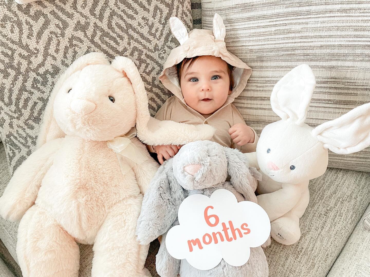 One of these bunnies is not like the others 🫣 Happy 6 months to the cutest baby I&rsquo;ve ever known (I&rsquo;m biased so what?) 💙 we&rsquo;ve got 4 teeth now and are eating so many new things!