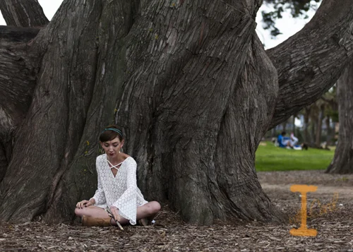St Kilda has some amazing tree, look at the size of this gorgeous piece of nature.