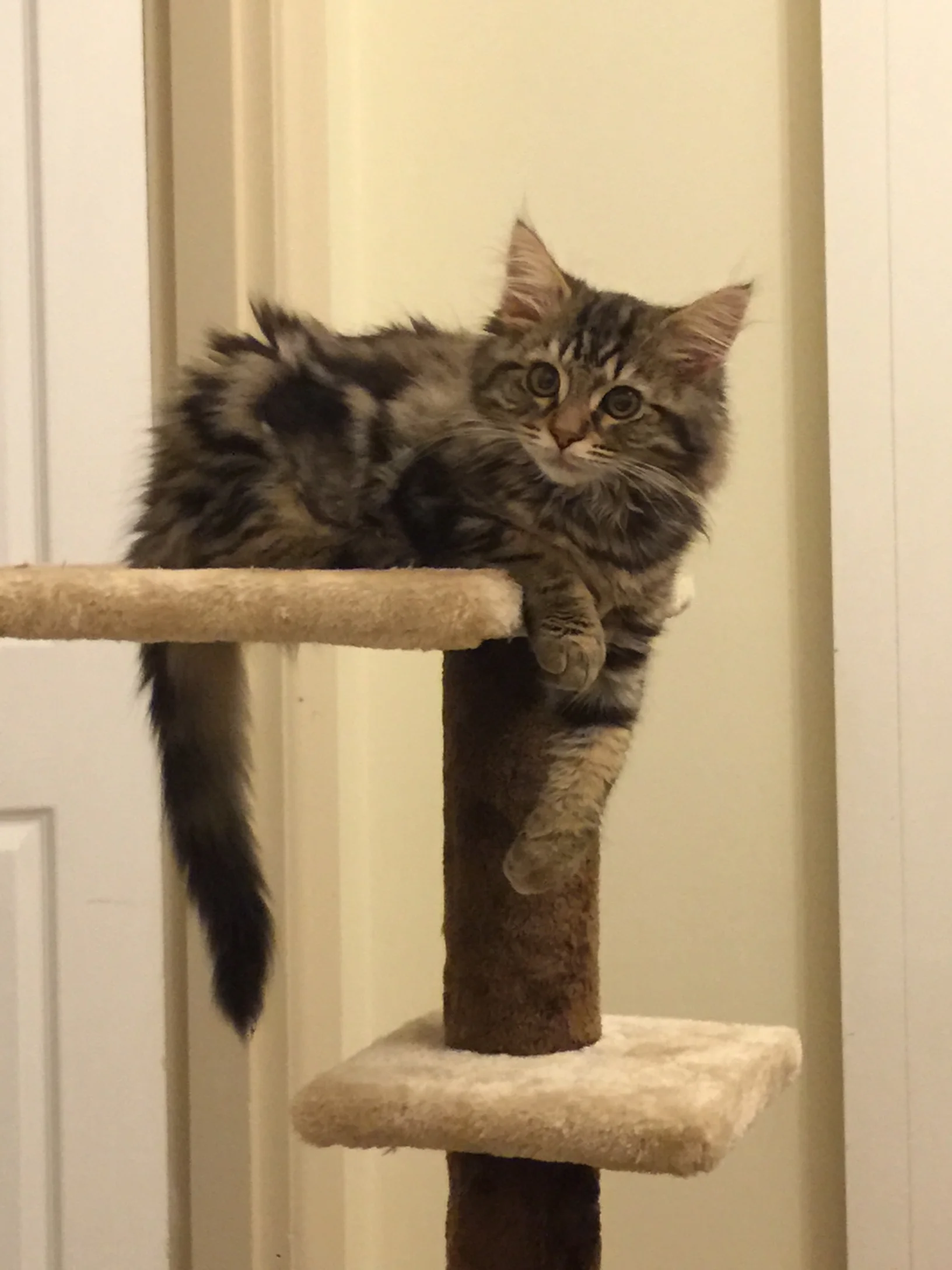 far cuter than any button.