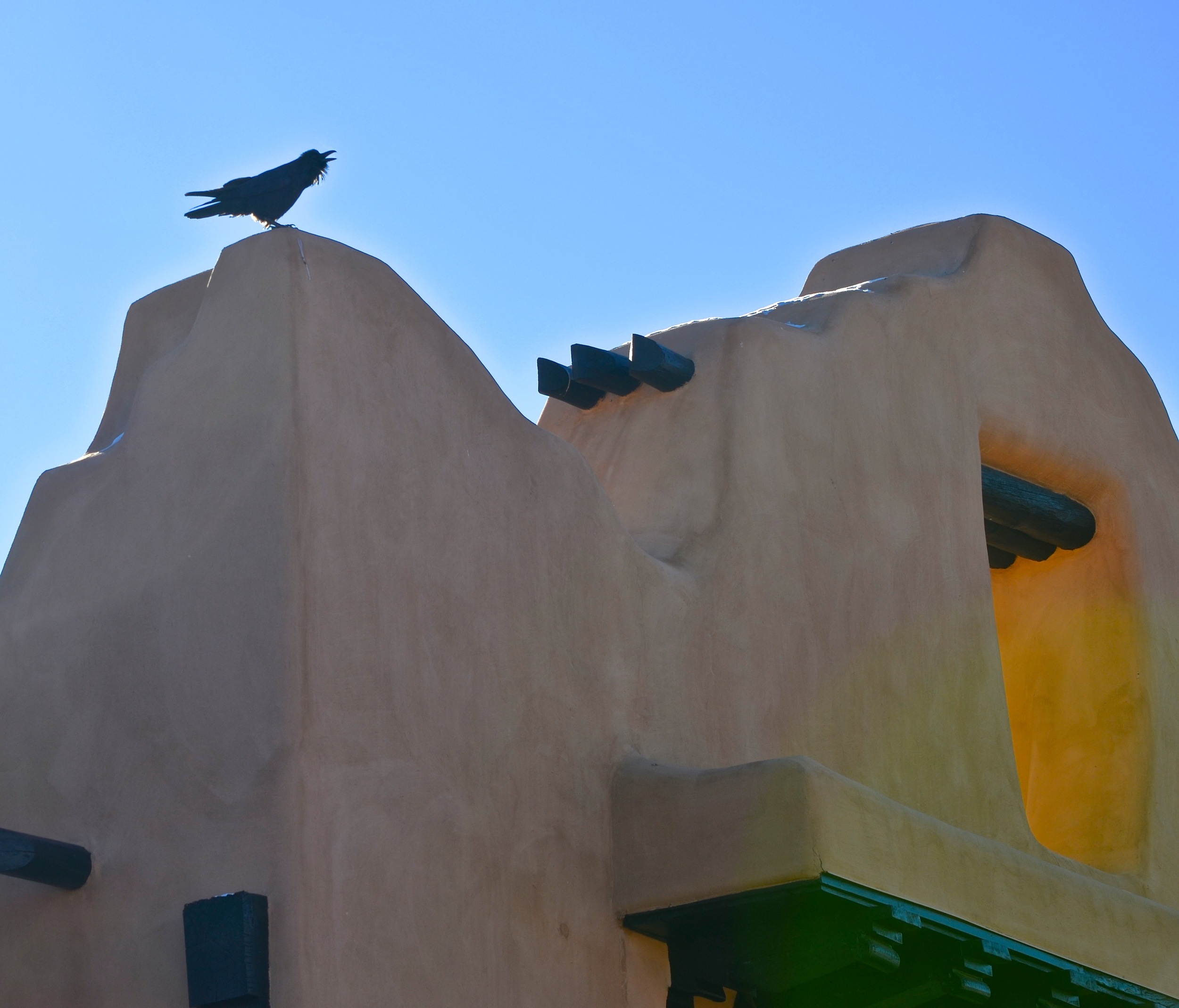 Pueblo Crow