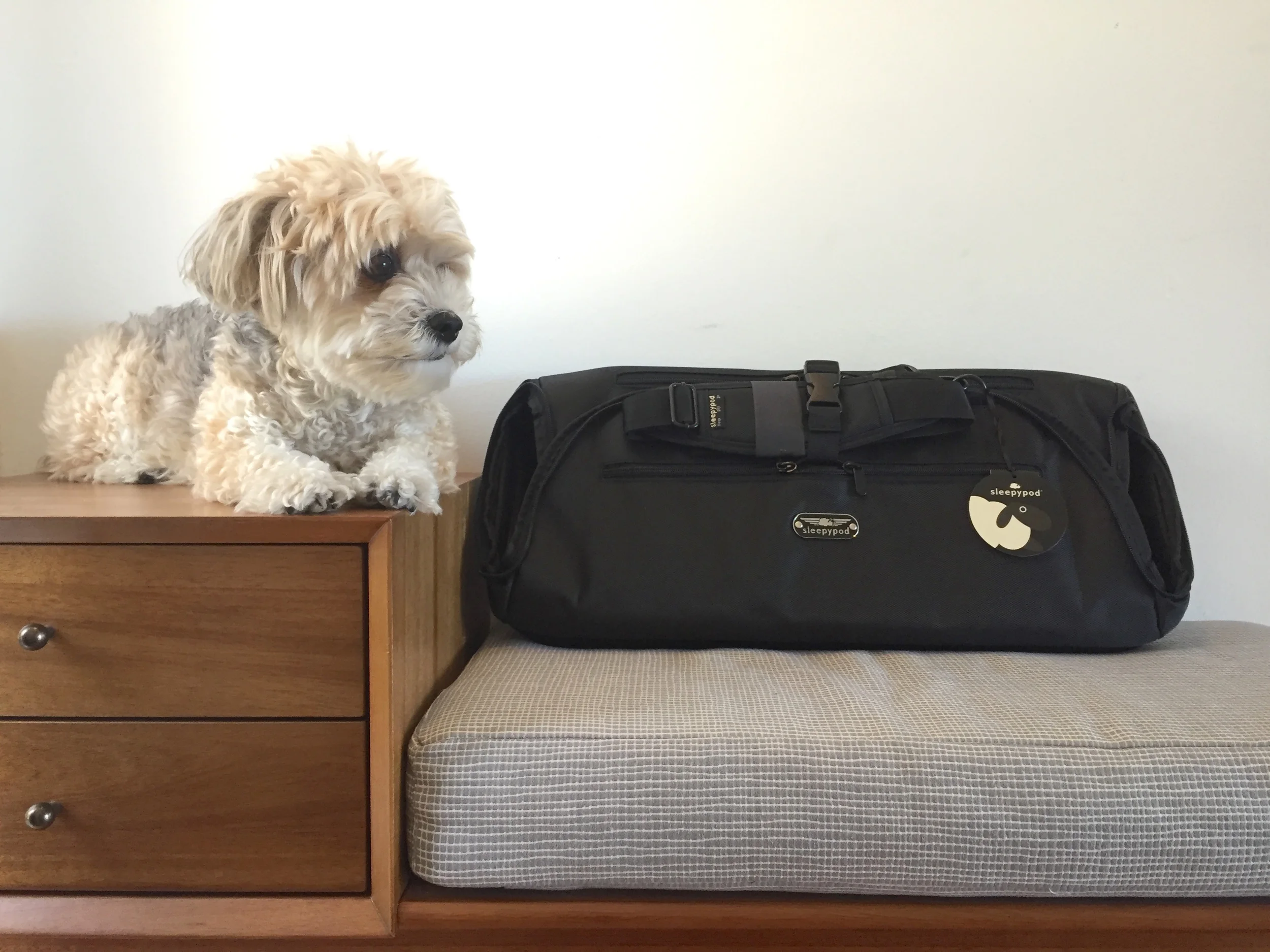 sleepypod air canada