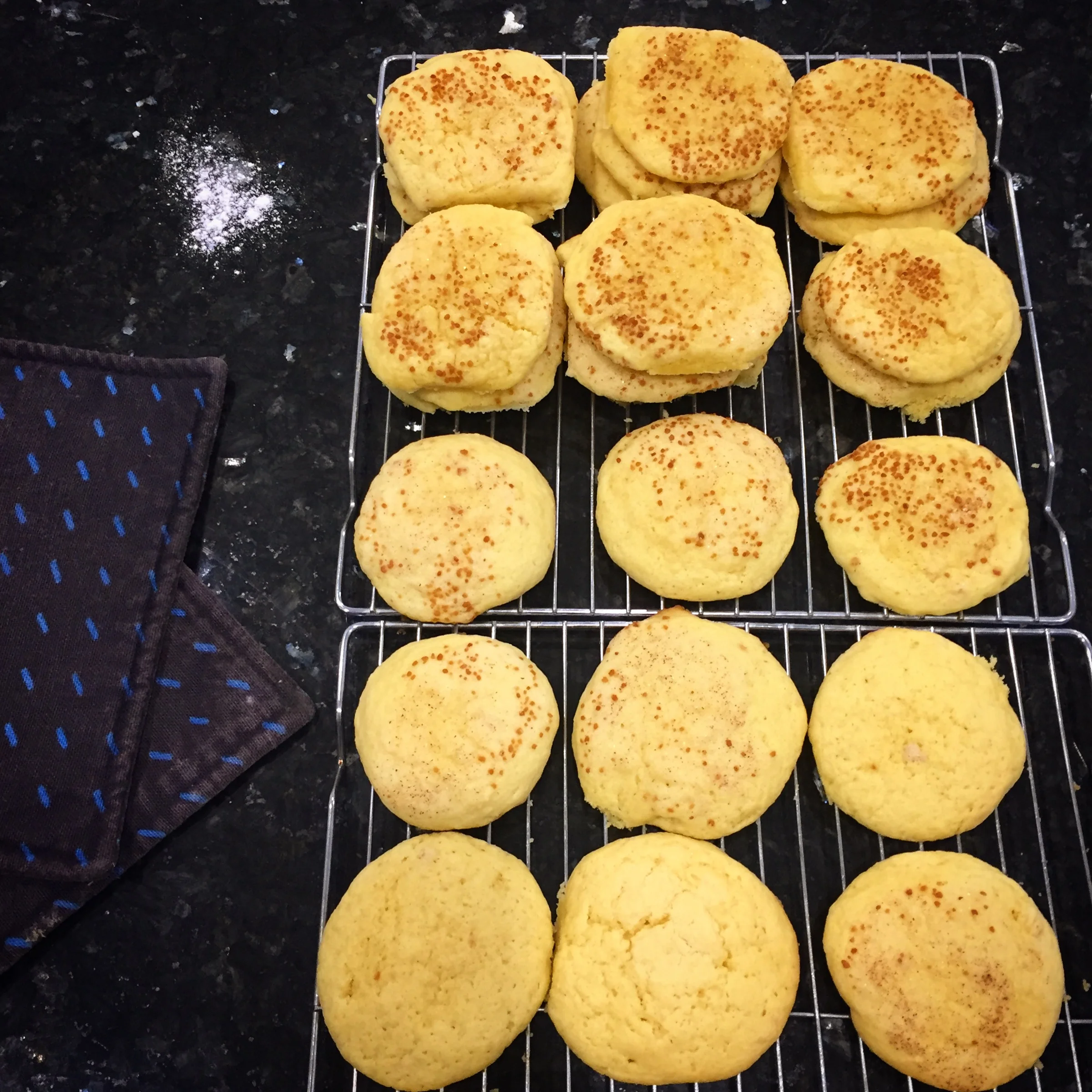 Friday Farm Journal for February 17, 2017 - Late Night Snickerdoodles Edition