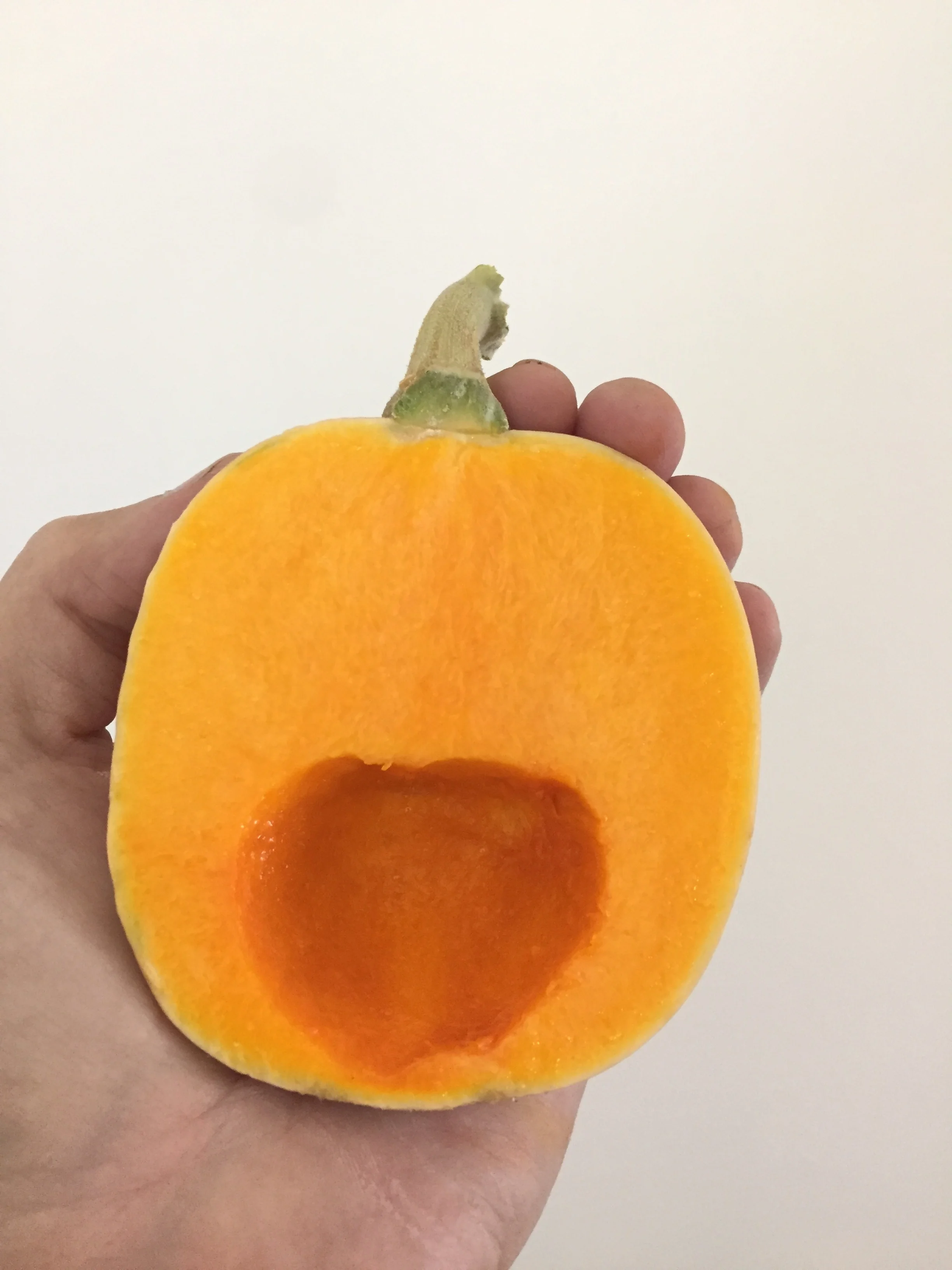 Province Journal for July 25, 2017 (Museum of Ice Cream edition)