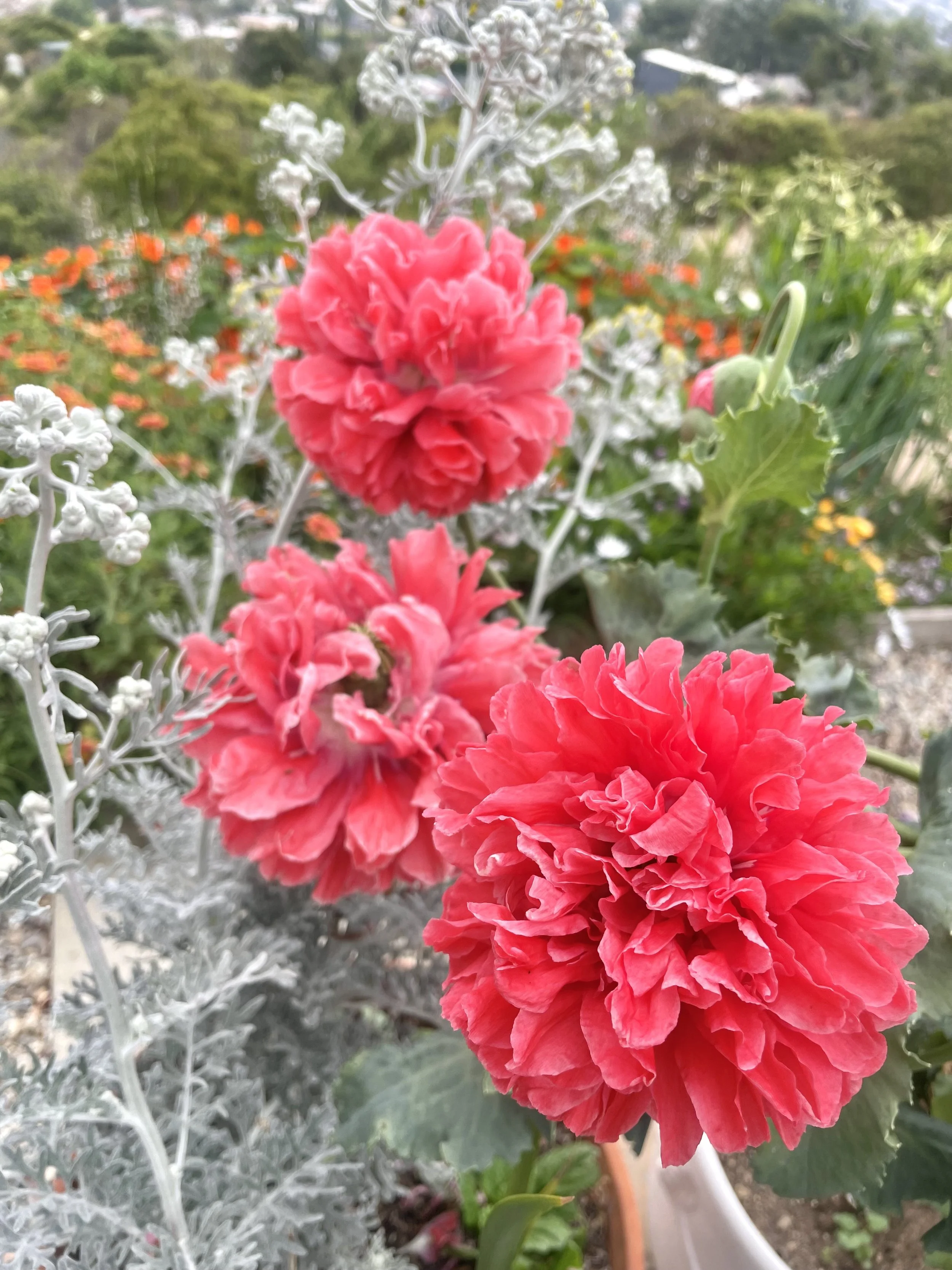 Farm Journal for Tuesday May 23, 2023