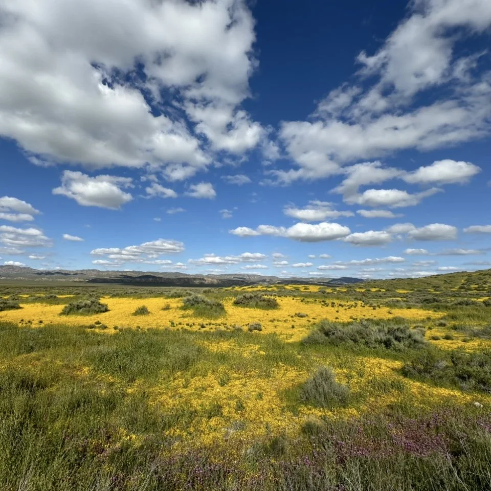 Carrizo Plains