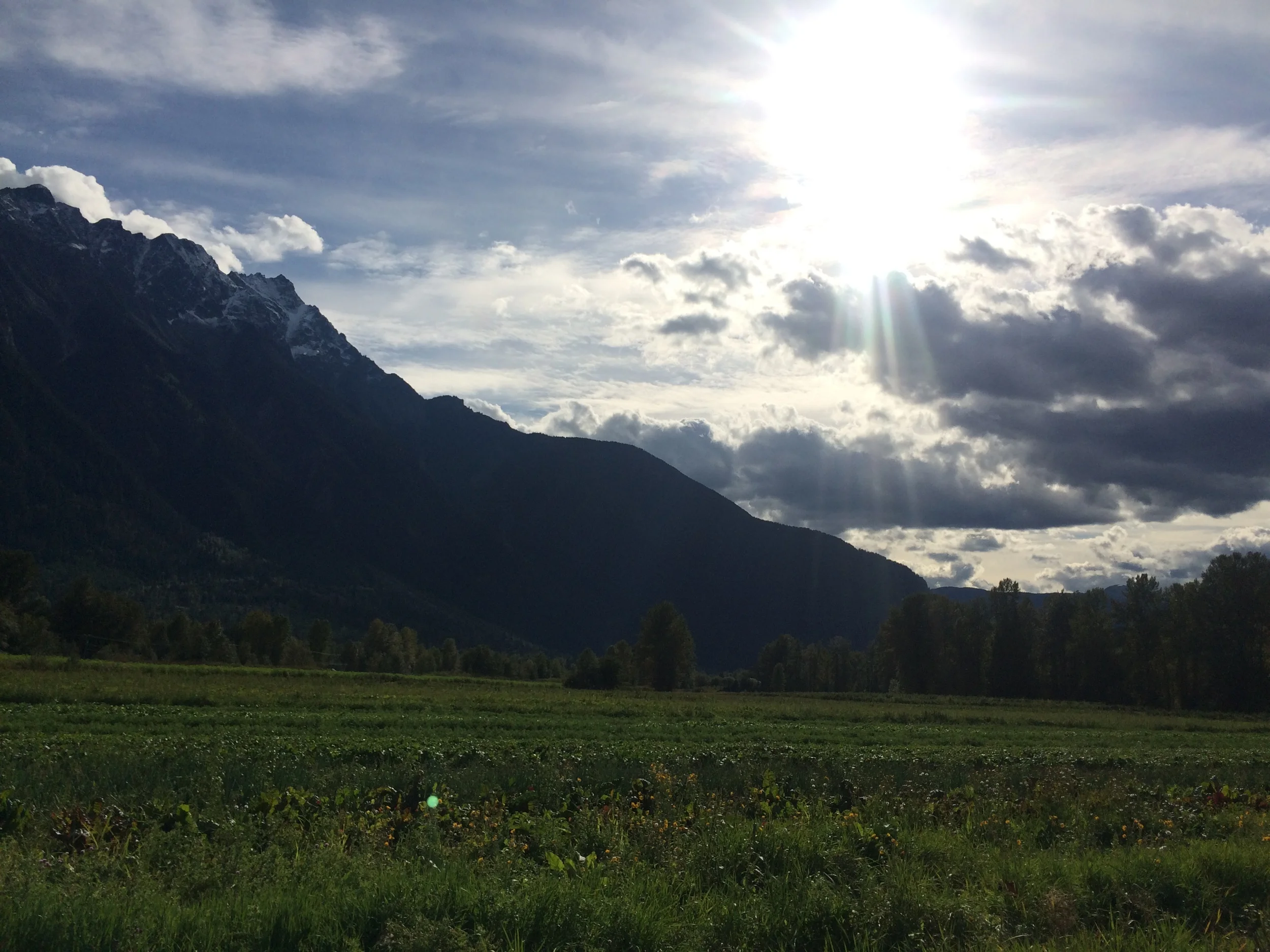 North Arm Farm in Pemberton, B.C., host of the Araxi Long Table Dinner 2015. 