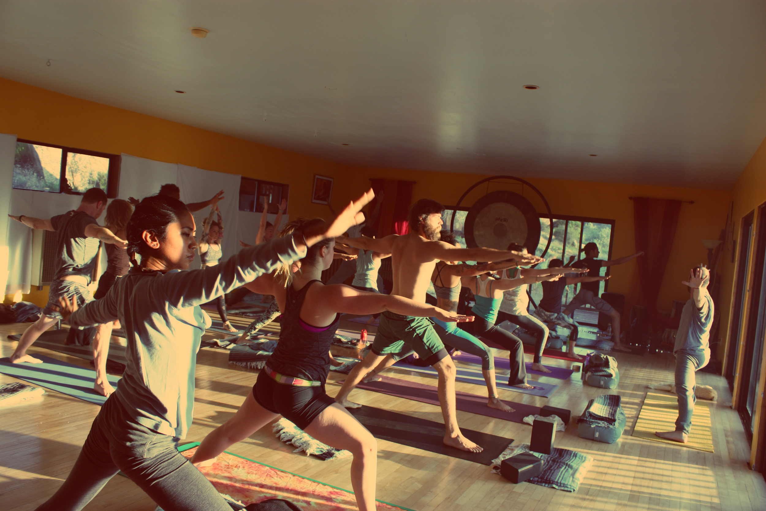 California 200 hour Vinyasa Yoga Teacher Training, by Shivakali Yoga, a Los Angeles-based Yoga Teacher Training and Yoga Certification School that holds Yoga Retreats and Workshops.