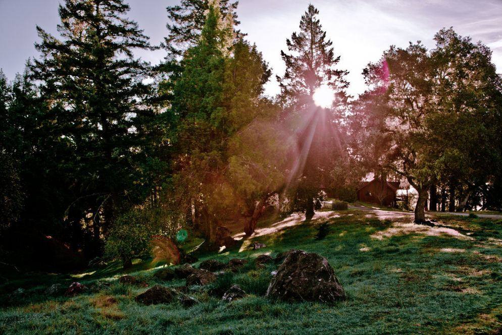 Screen Shot 2019-03-19 at 11.56.22 AM.png