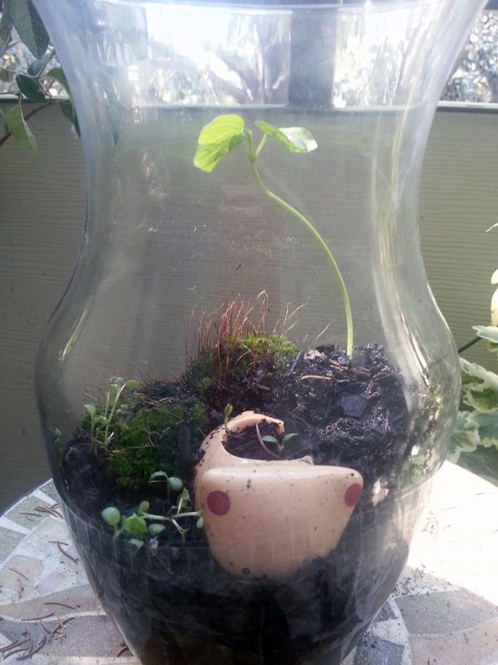 Please grow well and stay strong!