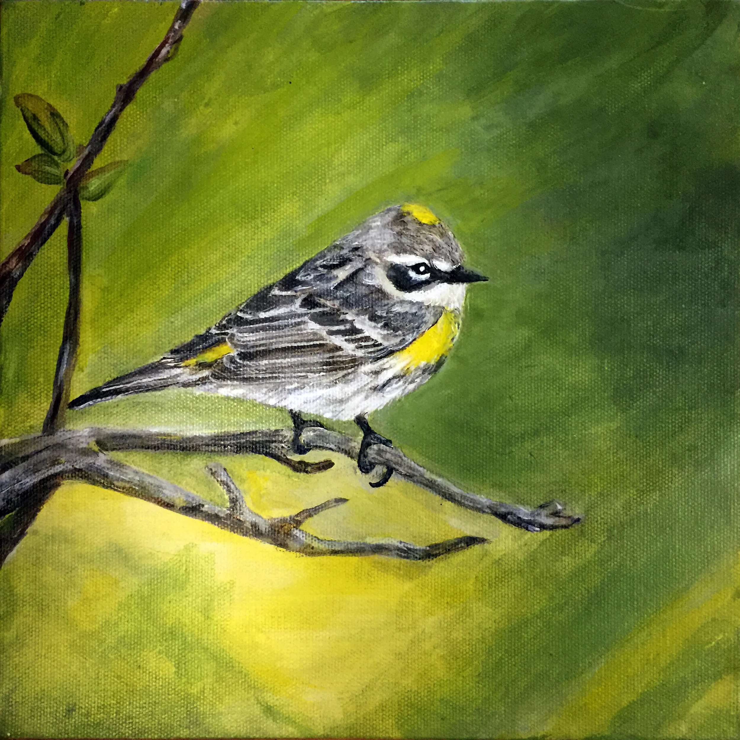 The Pandora box is now opened..