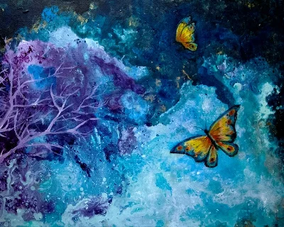 Butterflies Dream