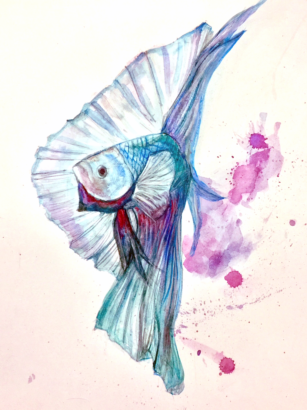 Art study: Betta, 2018