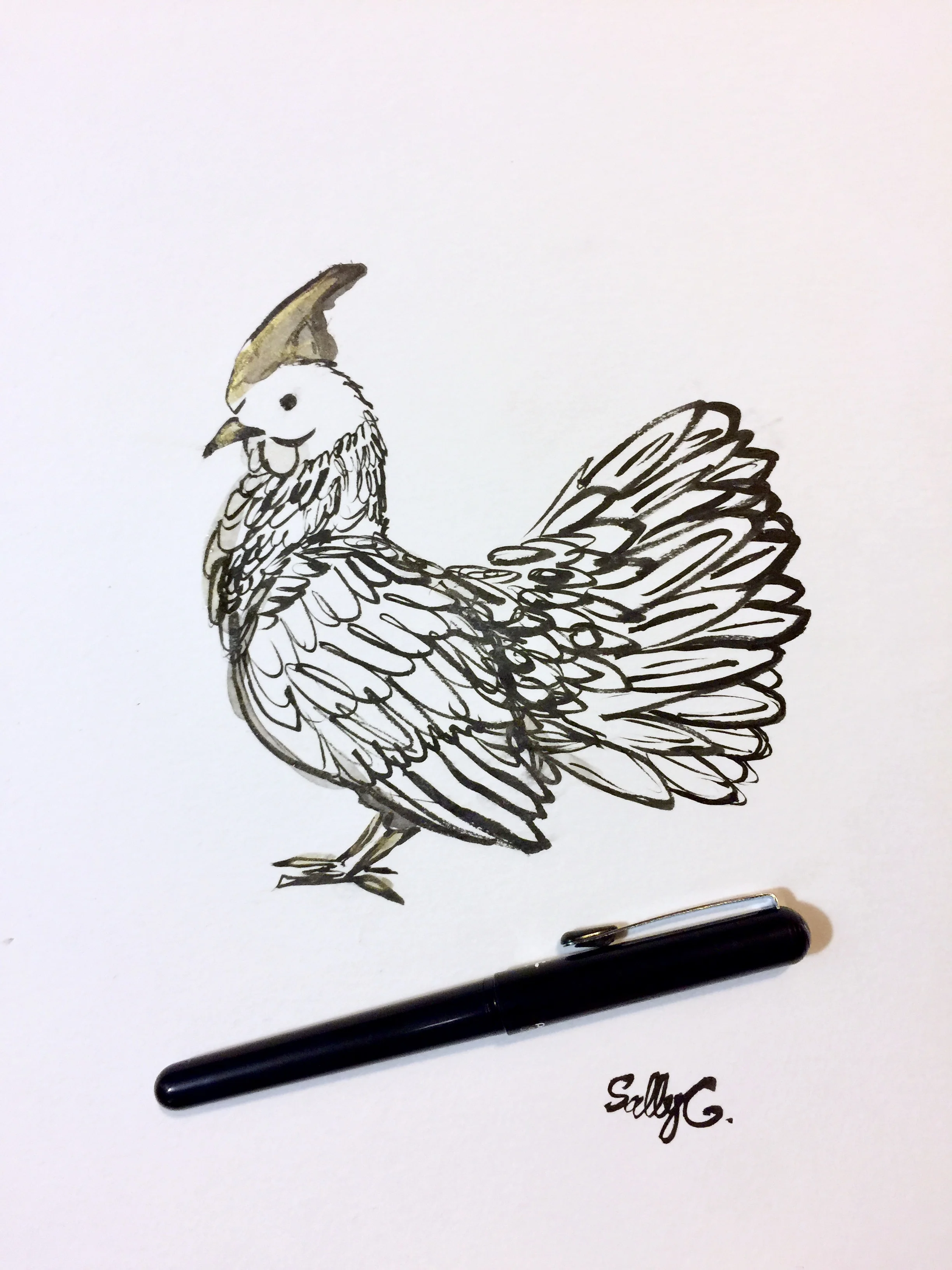 Day 5 - Chicken