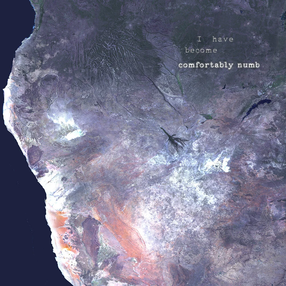 Artist: Pink Floyd  Song: Comfortably numb Link: https://youtu.be/_FrOQC-zEog