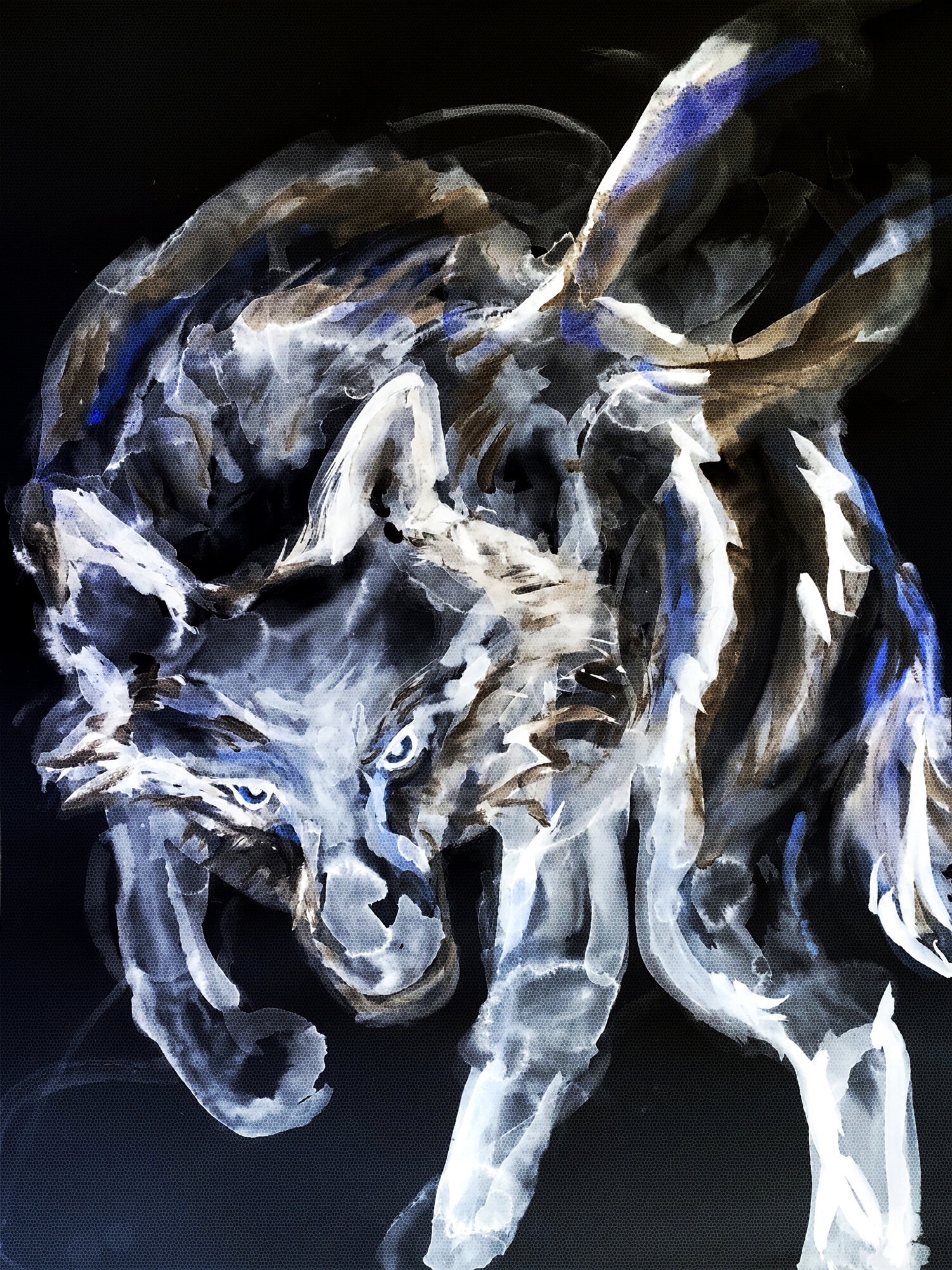 xray-wolf.jpg