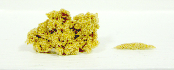 rice grain gold moxa.jpg