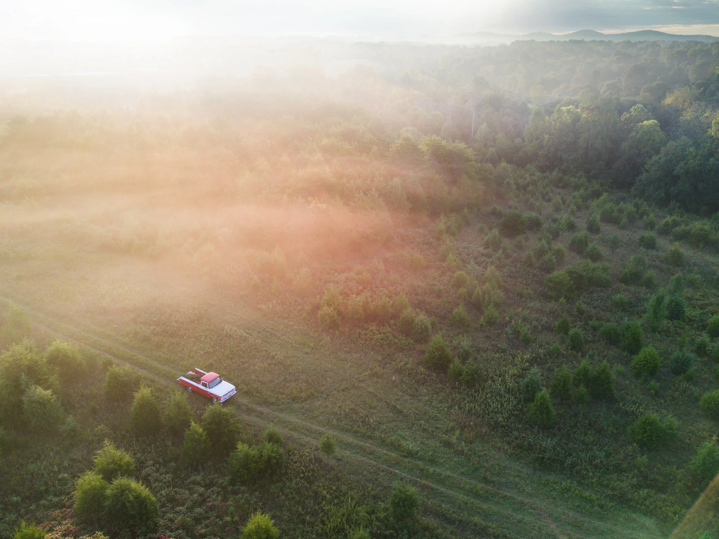 F100-DJI_0053_1.jpg