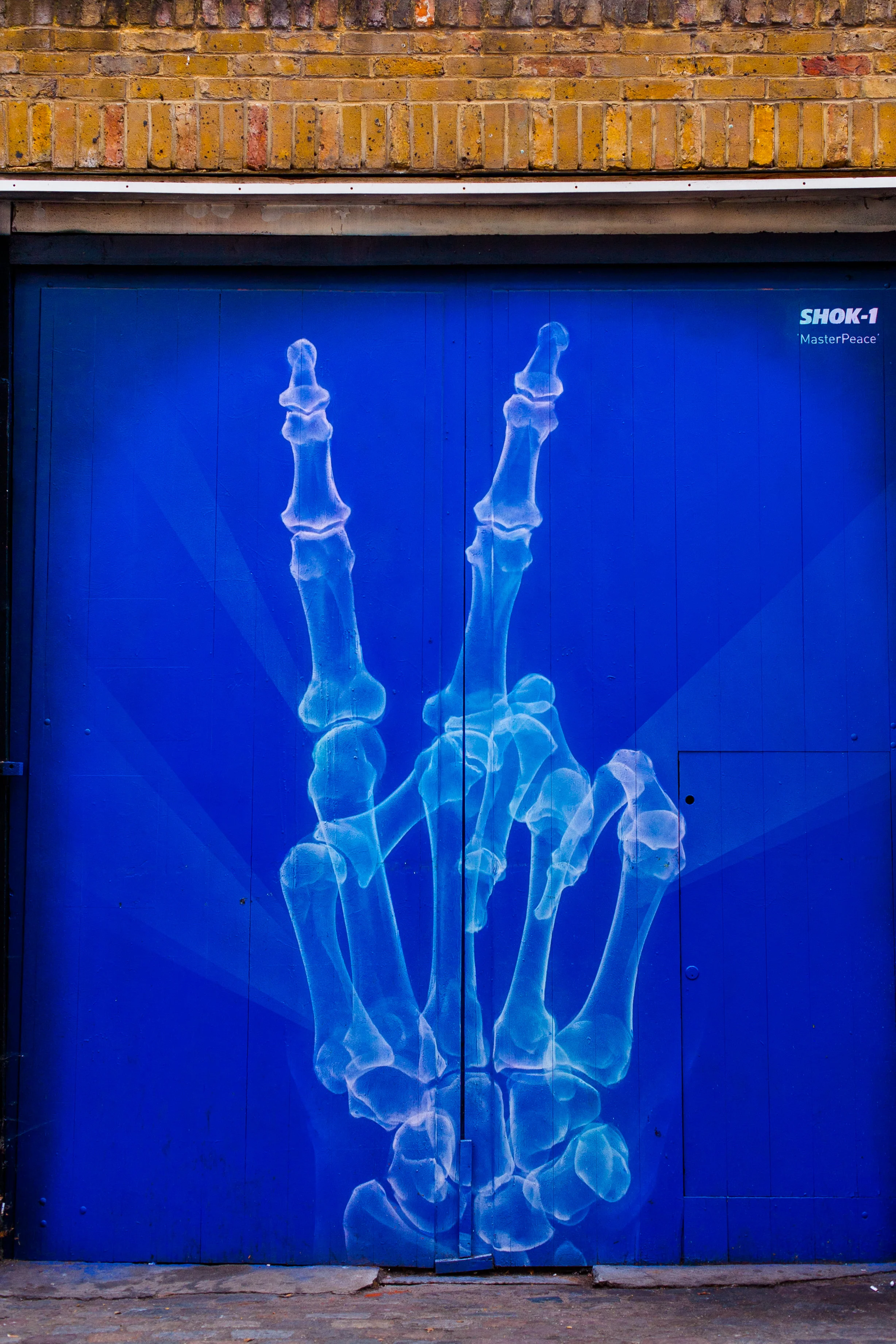 by British artist Shok-1 