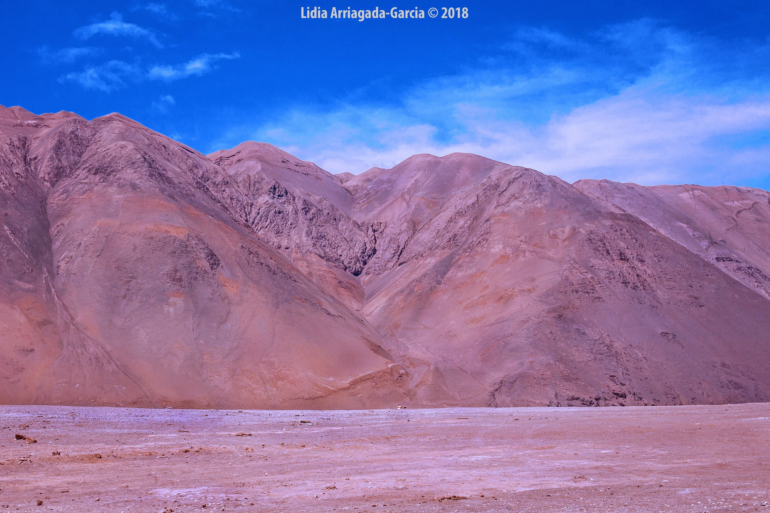 Arica, Chile by Lidia Arriagada-Garcia © 2018, All Rights Reserved, www.Lidia-AGphotography.com- 084.jpg