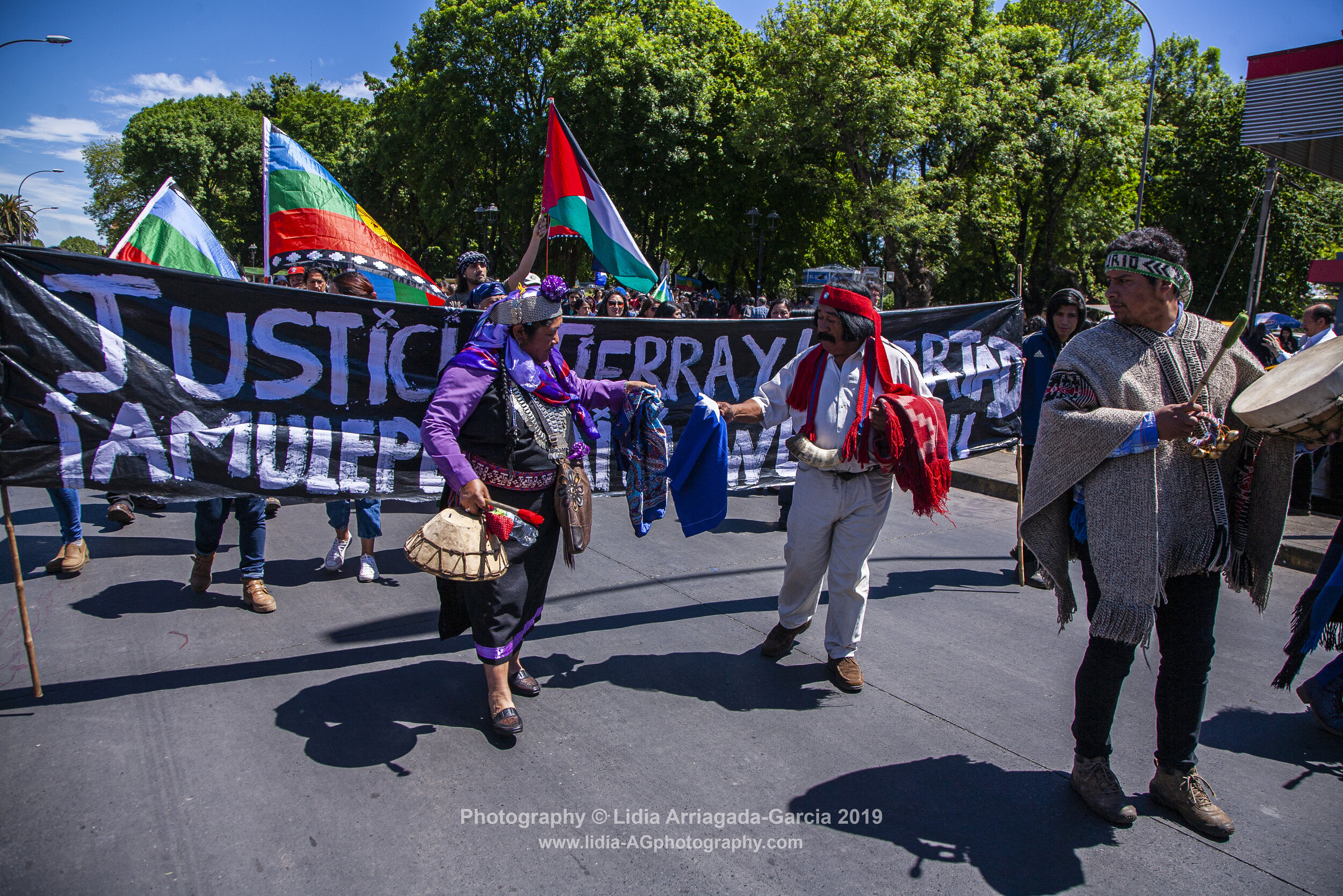 Marcha por la Unidad de los Pueblos by Lidia Arriagada-Garcia-002.jpg
