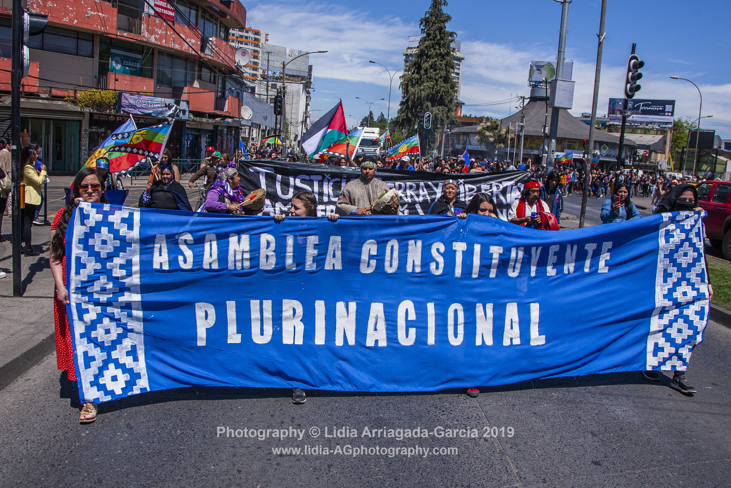 Marcha por la Unidad de los Pueblos by Lidia Arriagada-Garcia-005.jpg