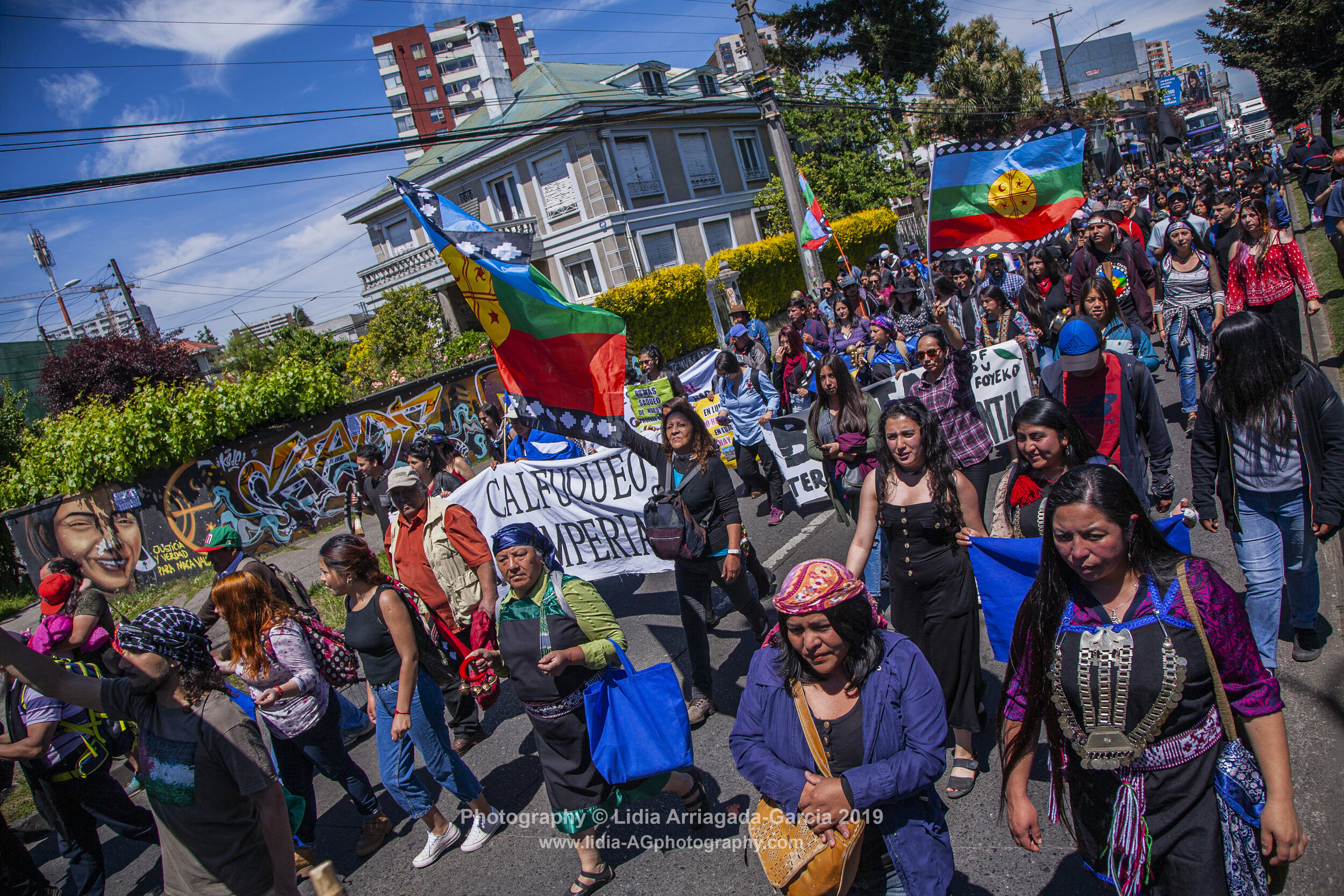 Marcha por la Unidad de los Pueblos by Lidia Arriagada-Garcia-009.jpg