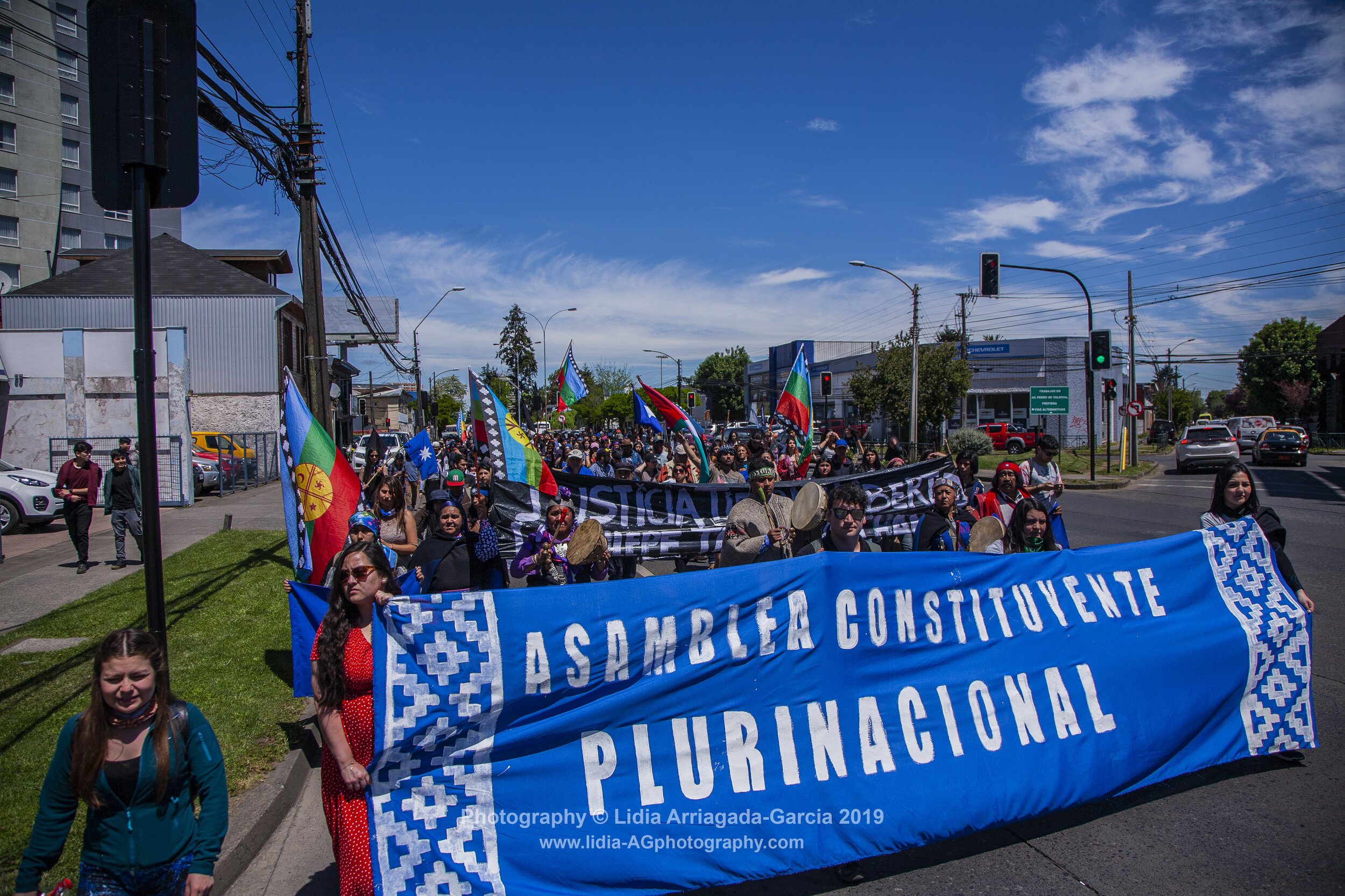 Marcha por la Unidad de los Pueblos by Lidia Arriagada-Garcia-020.jpg