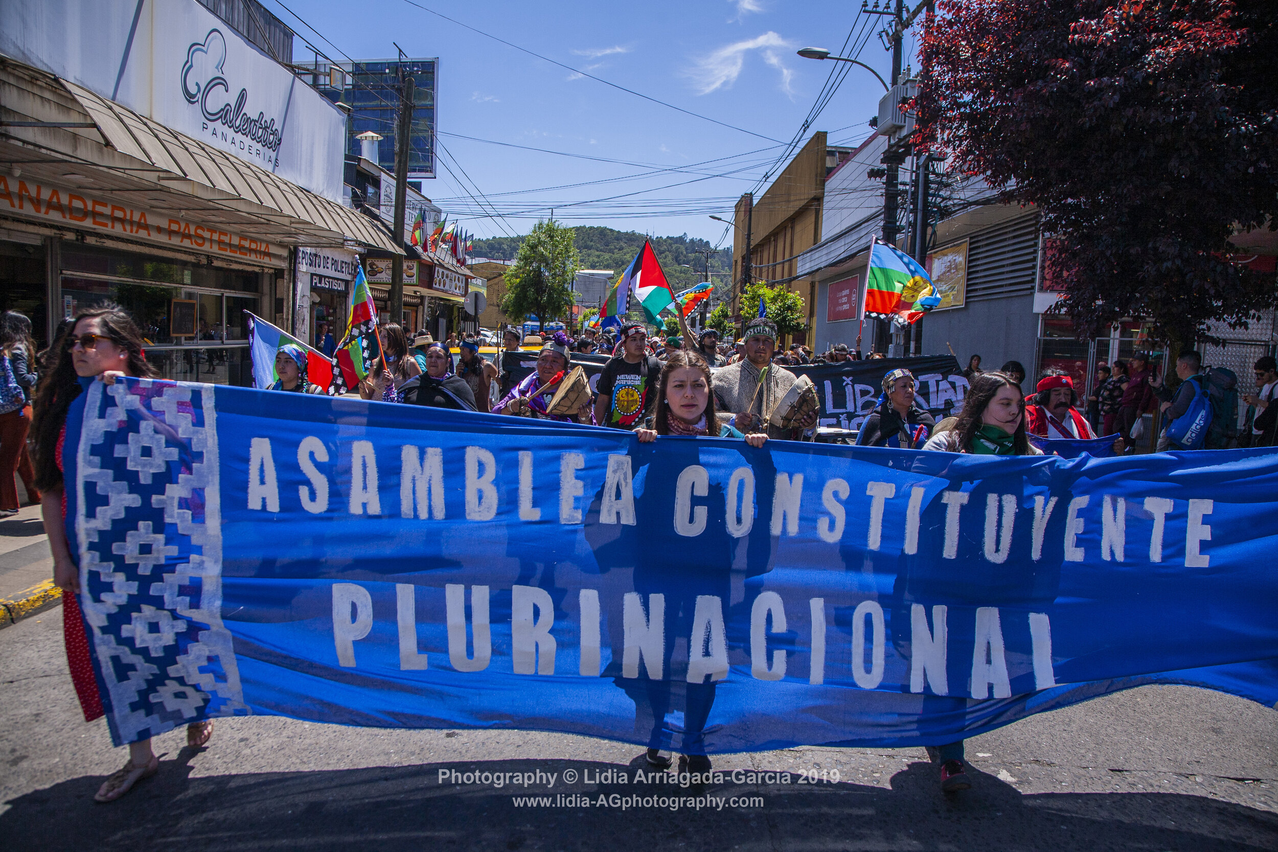 Marcha por la Unidad de los Pueblos by Lidia Arriagada-Garcia-026.jpg