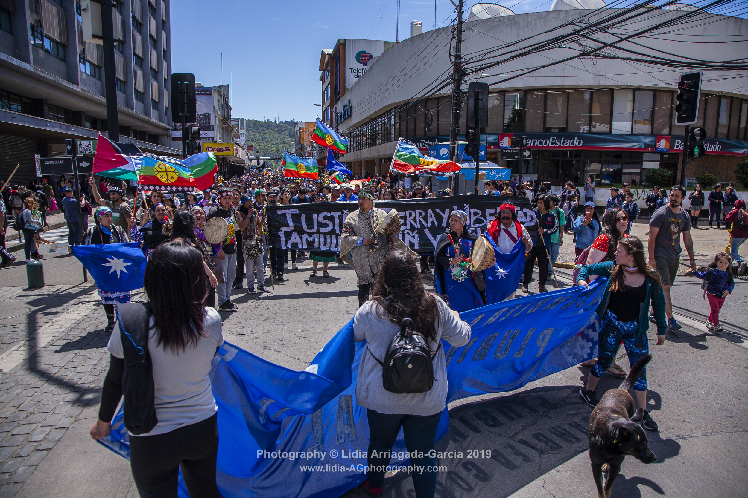 Marcha por la Unidad de los Pueblos by Lidia Arriagada-Garcia-037.jpg