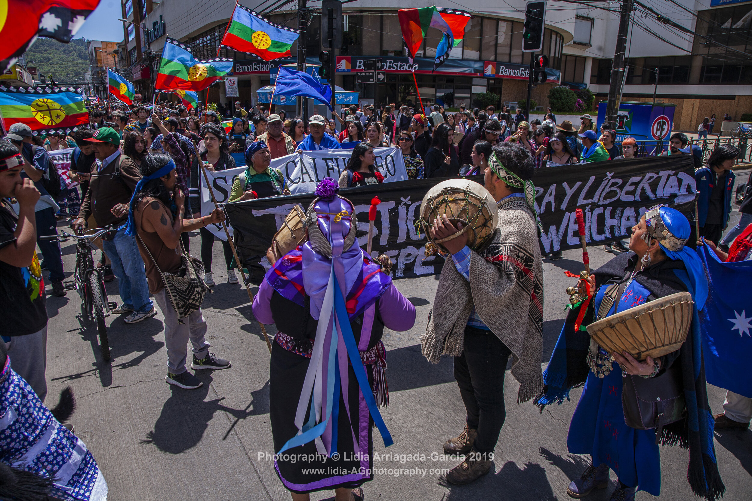 Marcha por la Unidad de los Pueblos by Lidia Arriagada-Garcia-038.jpg