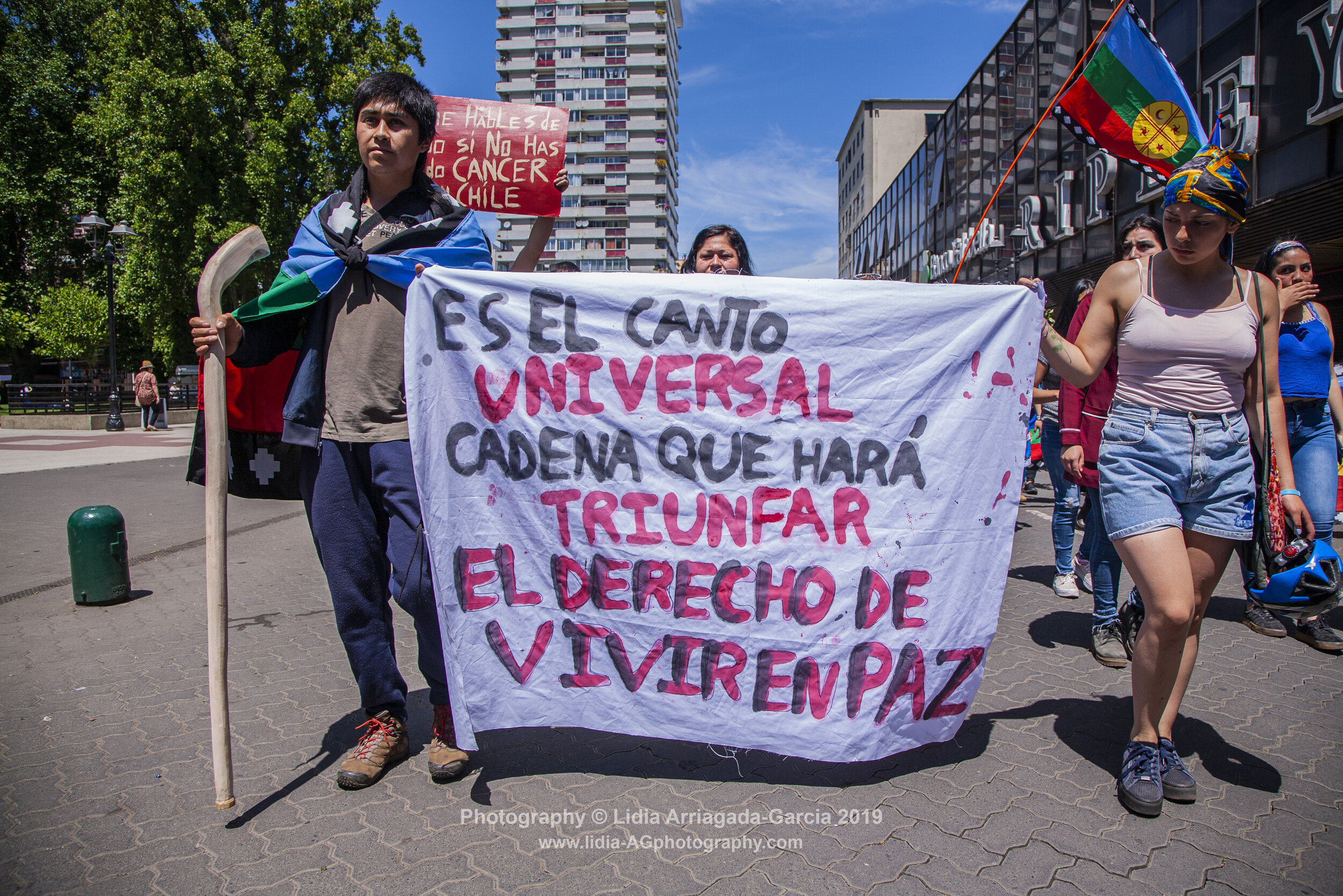 Marcha por la Unidad de los Pueblos by Lidia Arriagada-Garcia-045.jpg