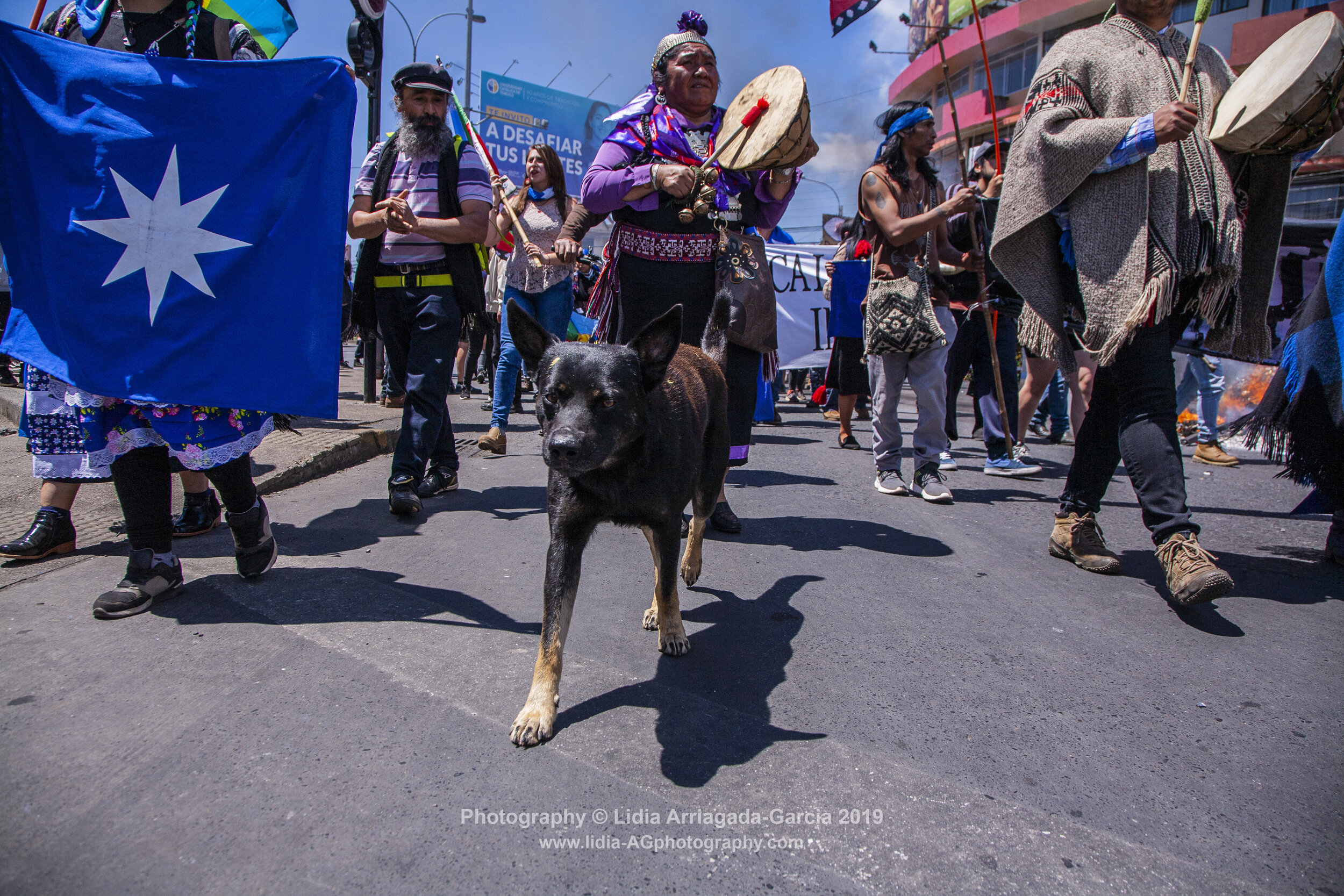 Marcha por la Unidad de los Pueblos by Lidia Arriagada-Garcia-072.jpg