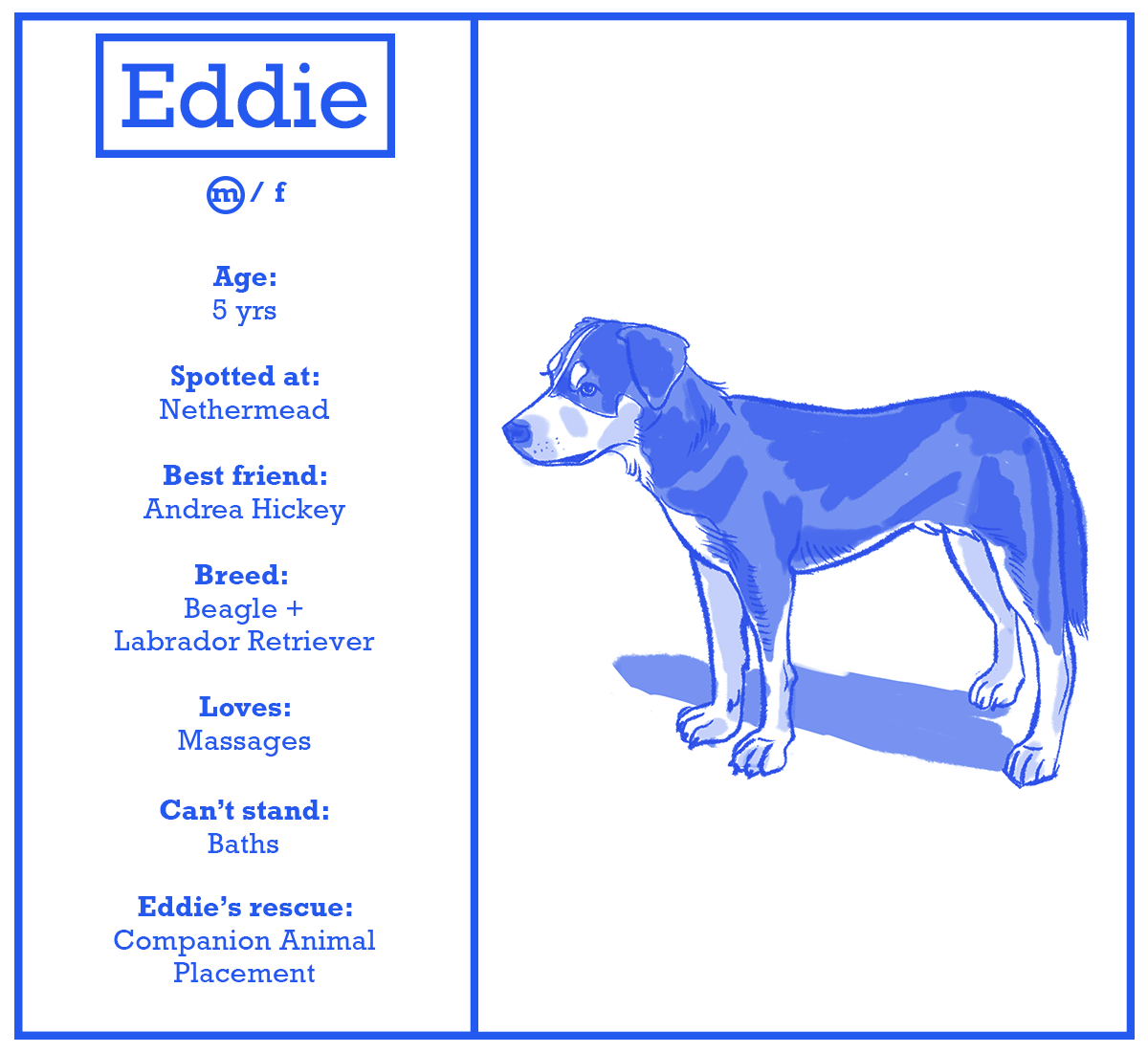 eddie.png