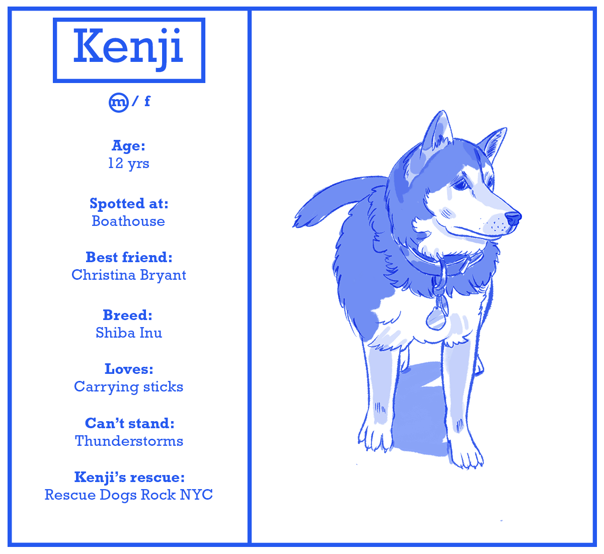 kenji.png